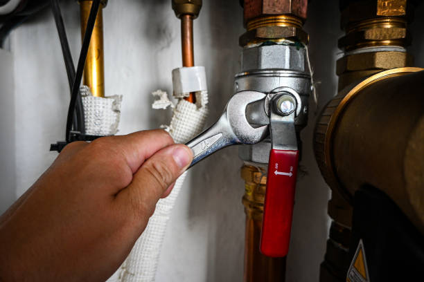 Best Sewer Cleaning Services  in Hammond, WI